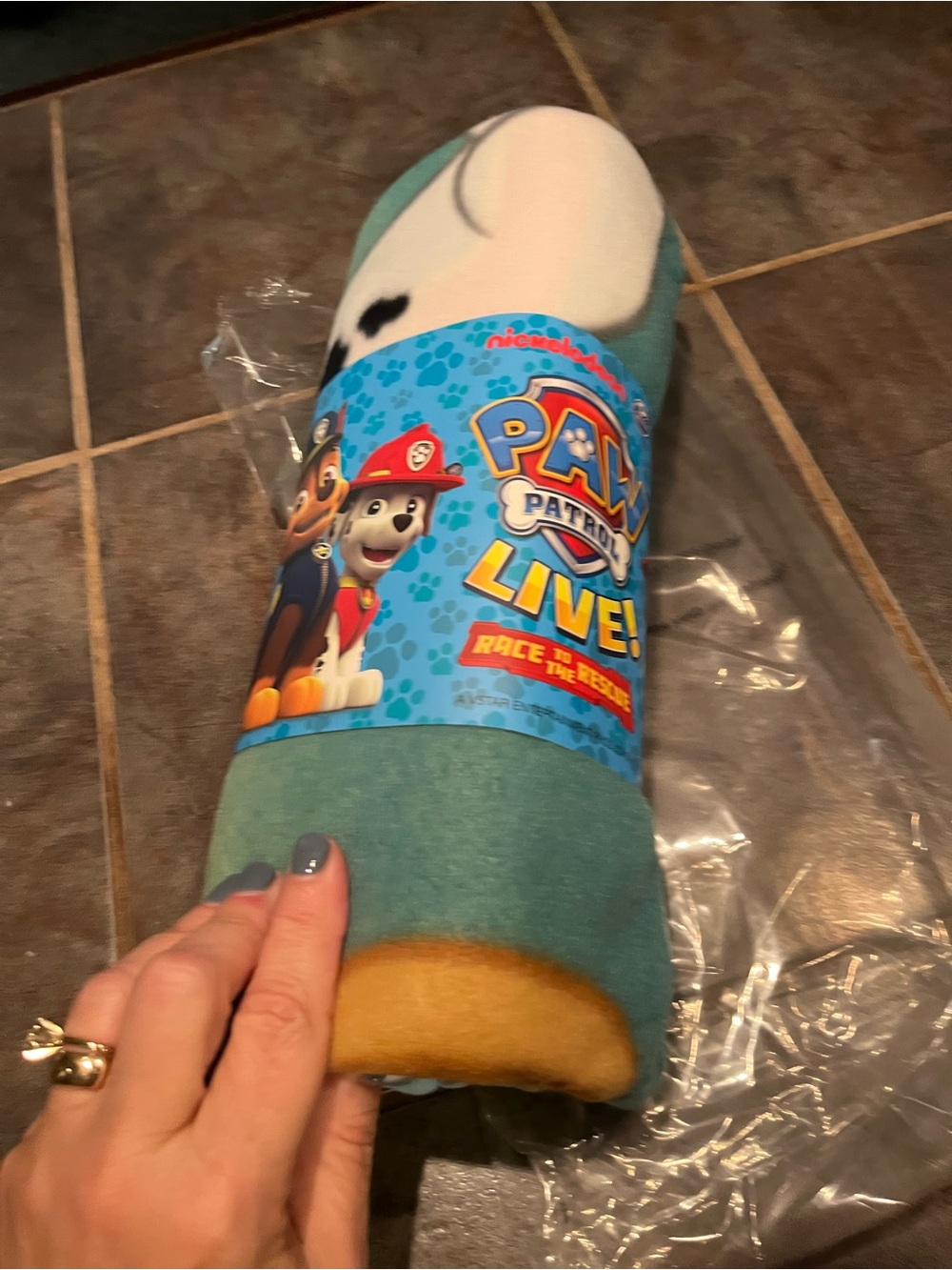 NWT Paw Patrol Plush Blanket Roll - Teal, Yellow, White